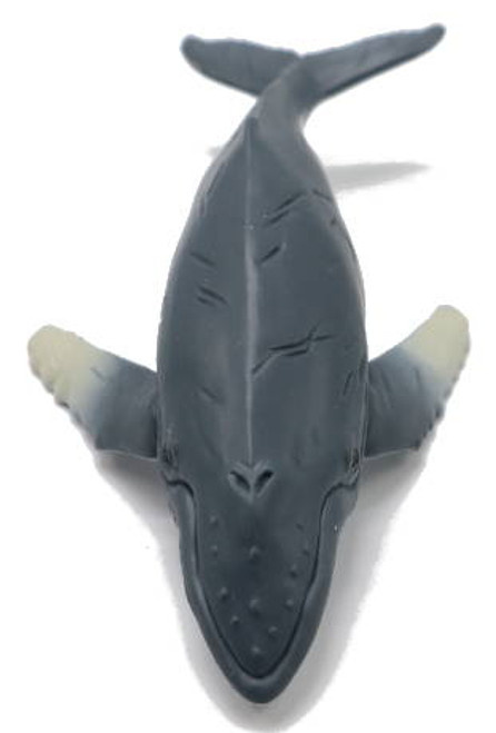 CollectA Humpback Whale
