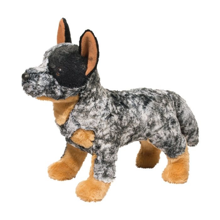 Douglas Bolt Australian Cattle Dog