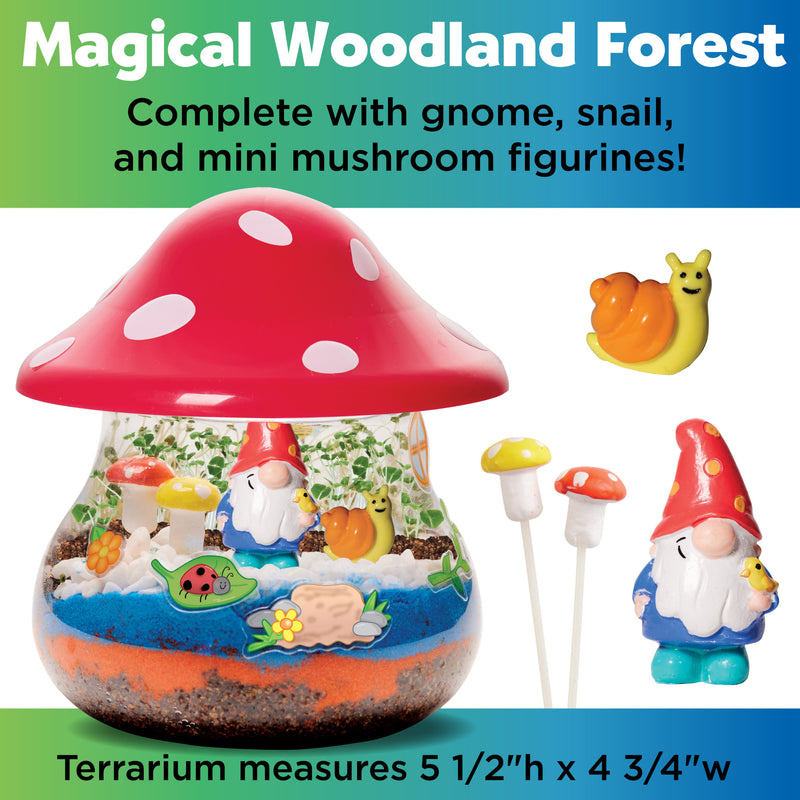 Creativity for Kids Plant & Grow Woodland Forest DISC