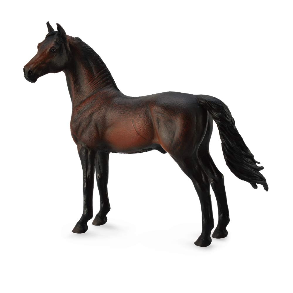CollectA Morgan Stallion
