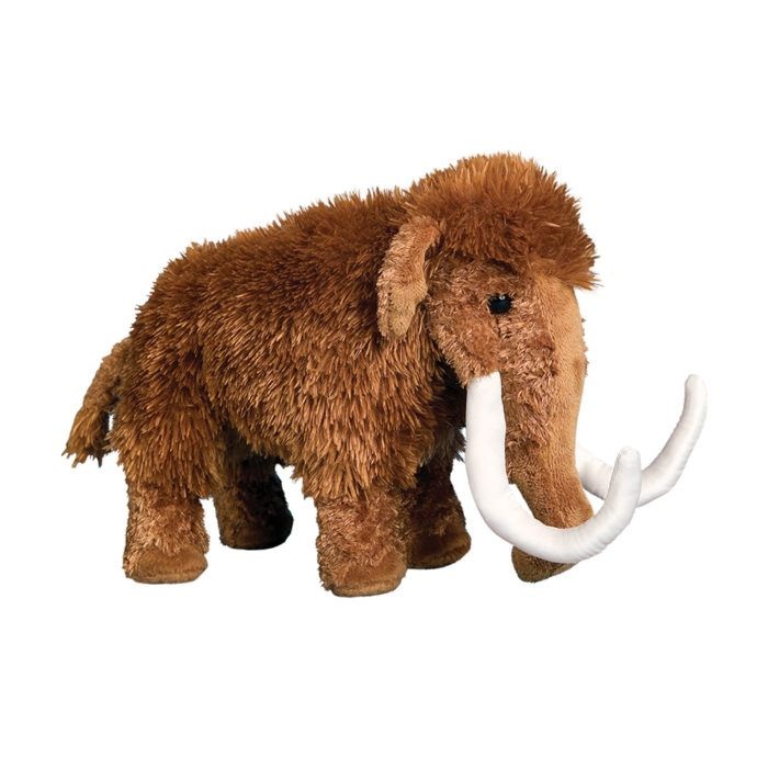 Douglas Everett Woolly Mammoth