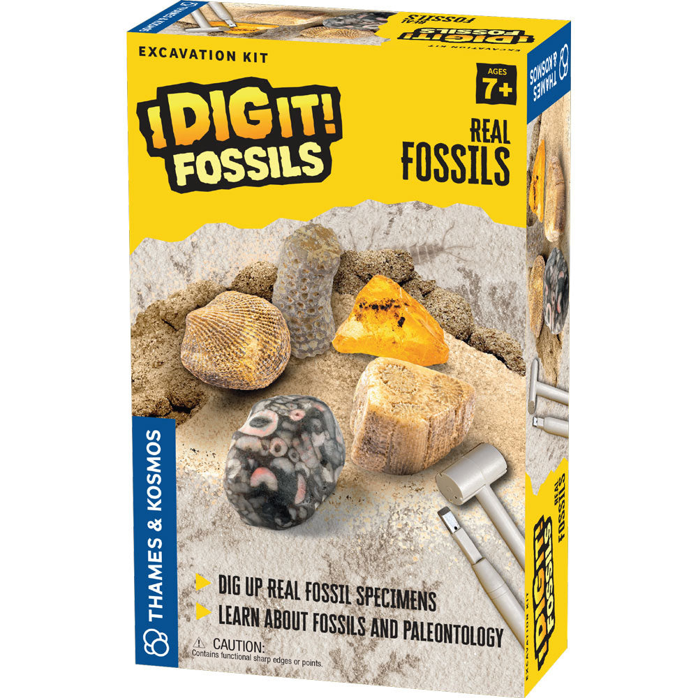 Thames and Kosmos I Dig It! Fossils - Real Fossils Excavation Kit