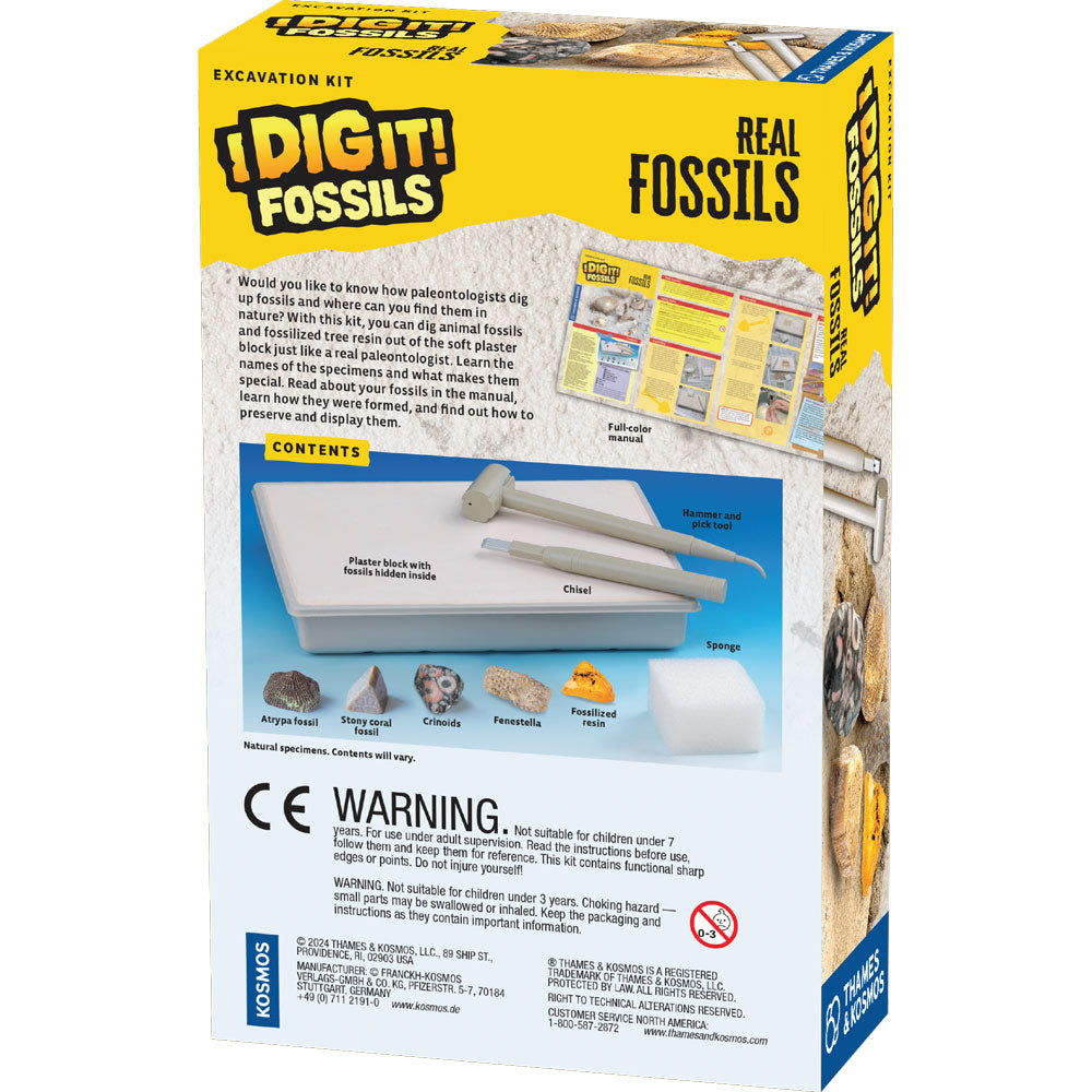 Thames and Kosmos I Dig It! Fossils - Real Fossils Excavation Kit