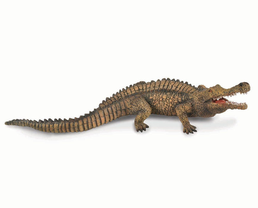 CollectA Sarcosuchus