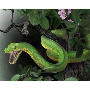 CollectA Green Tree Python