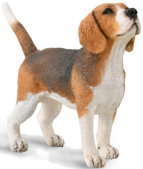 CollectA Beagle