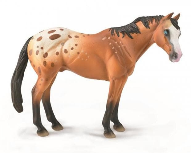 CollectA Appaloosa Stallion