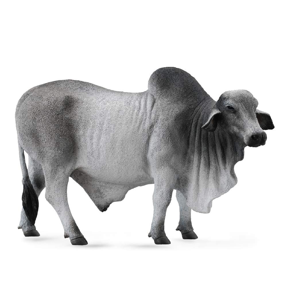 CollectA Brahman Bull