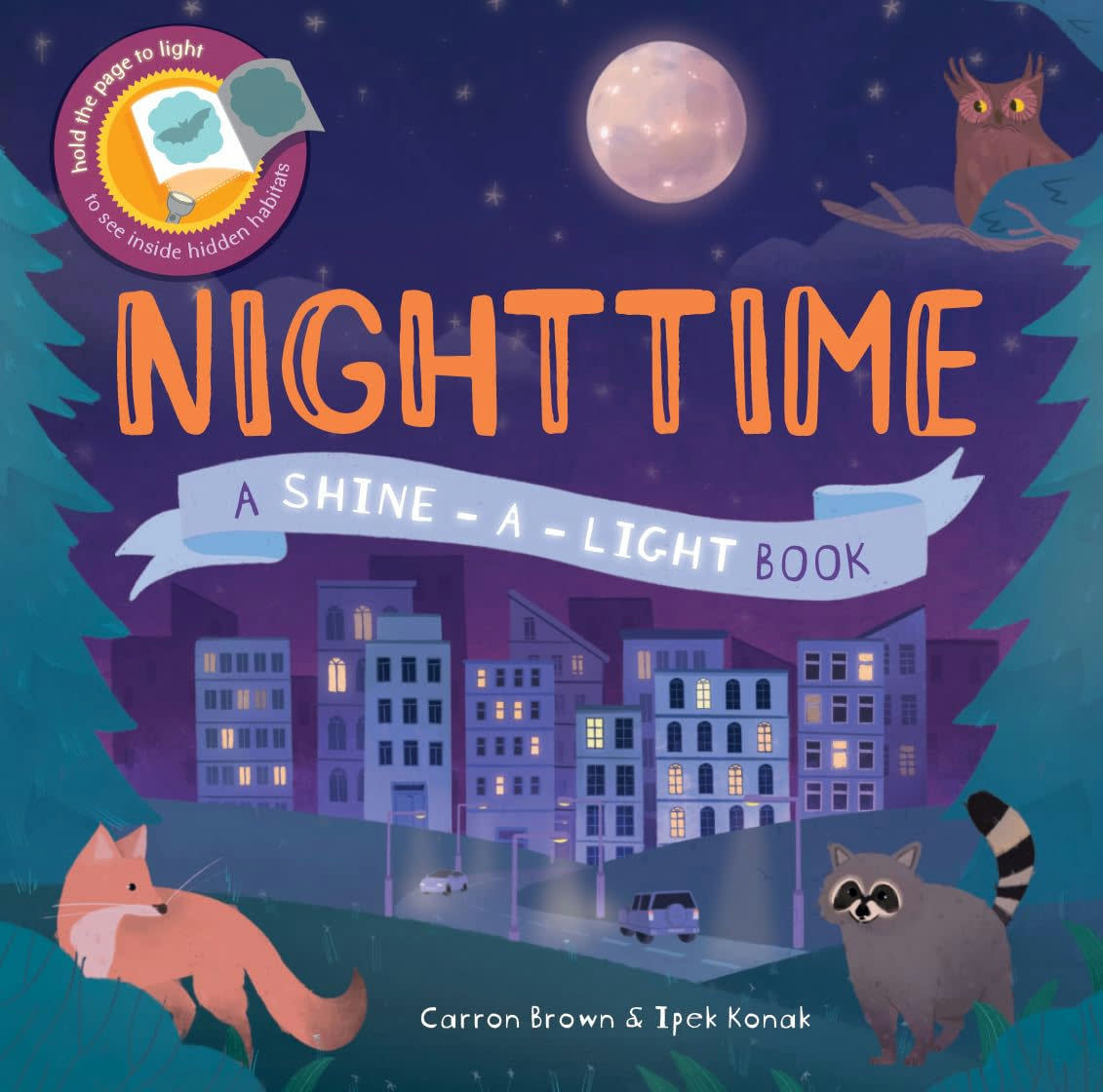 Nighttime A Shine-A-Light Book