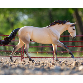 Breyer Cash - Quarter Horse - Essay Winner