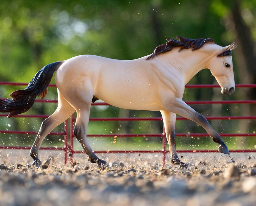 Breyer Cash - Quarter Horse - Essay Winner
