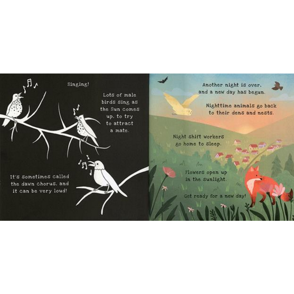 Nighttime A Shine-A-Light Book