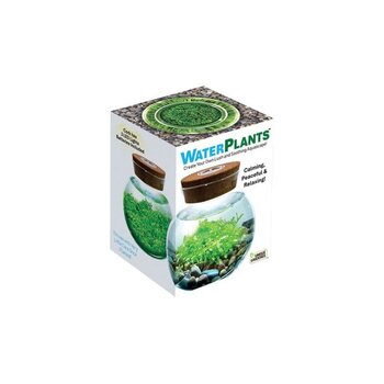 WaterPlants - Create Your Own Aquascape