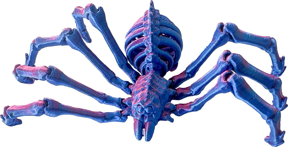 Twiddle 3D Spider