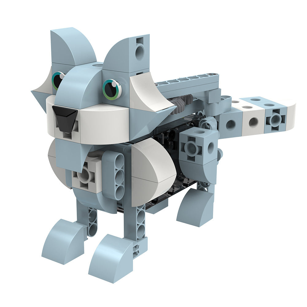 Thames and Kosmos Kids First:  Robot Safari