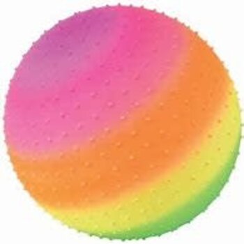 The Toy Network 18" Rainbow Knobby Ball