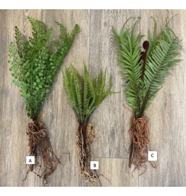 Faux Fern With Exposed Roots