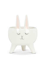 Bunny Planter with Ears