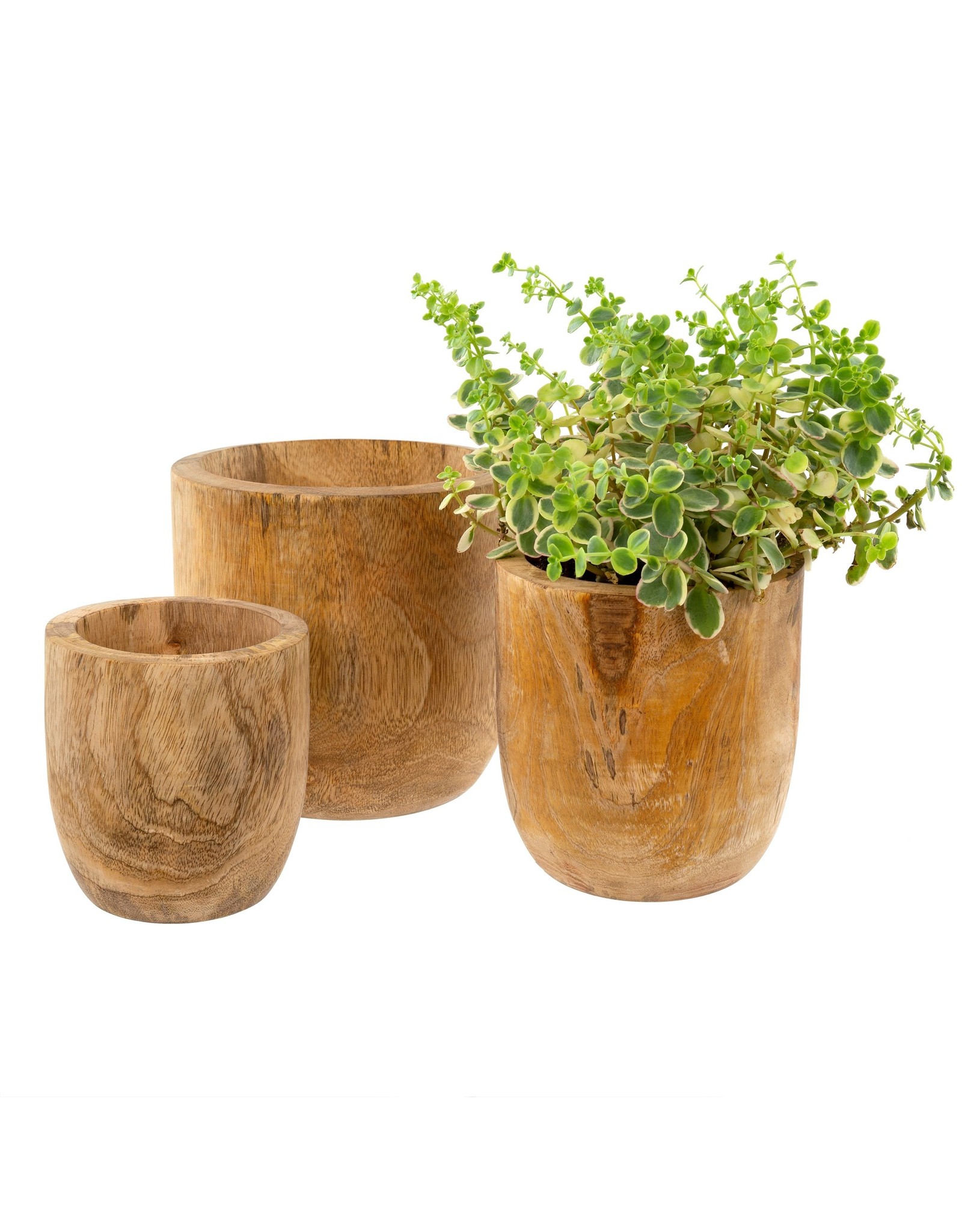 Mango wood Egg Pot S