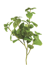 Green Leaves Spray