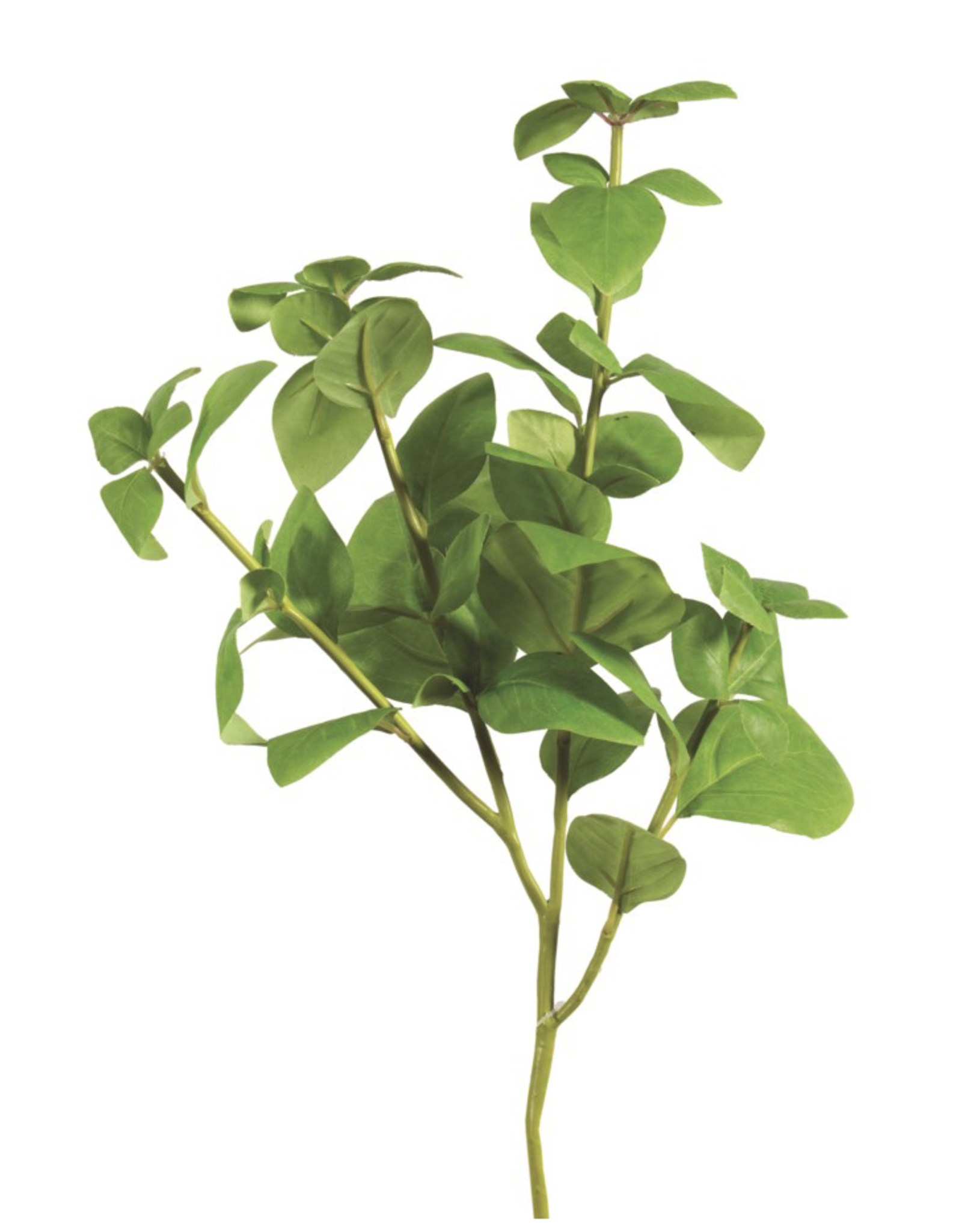 Green Leaves Spray