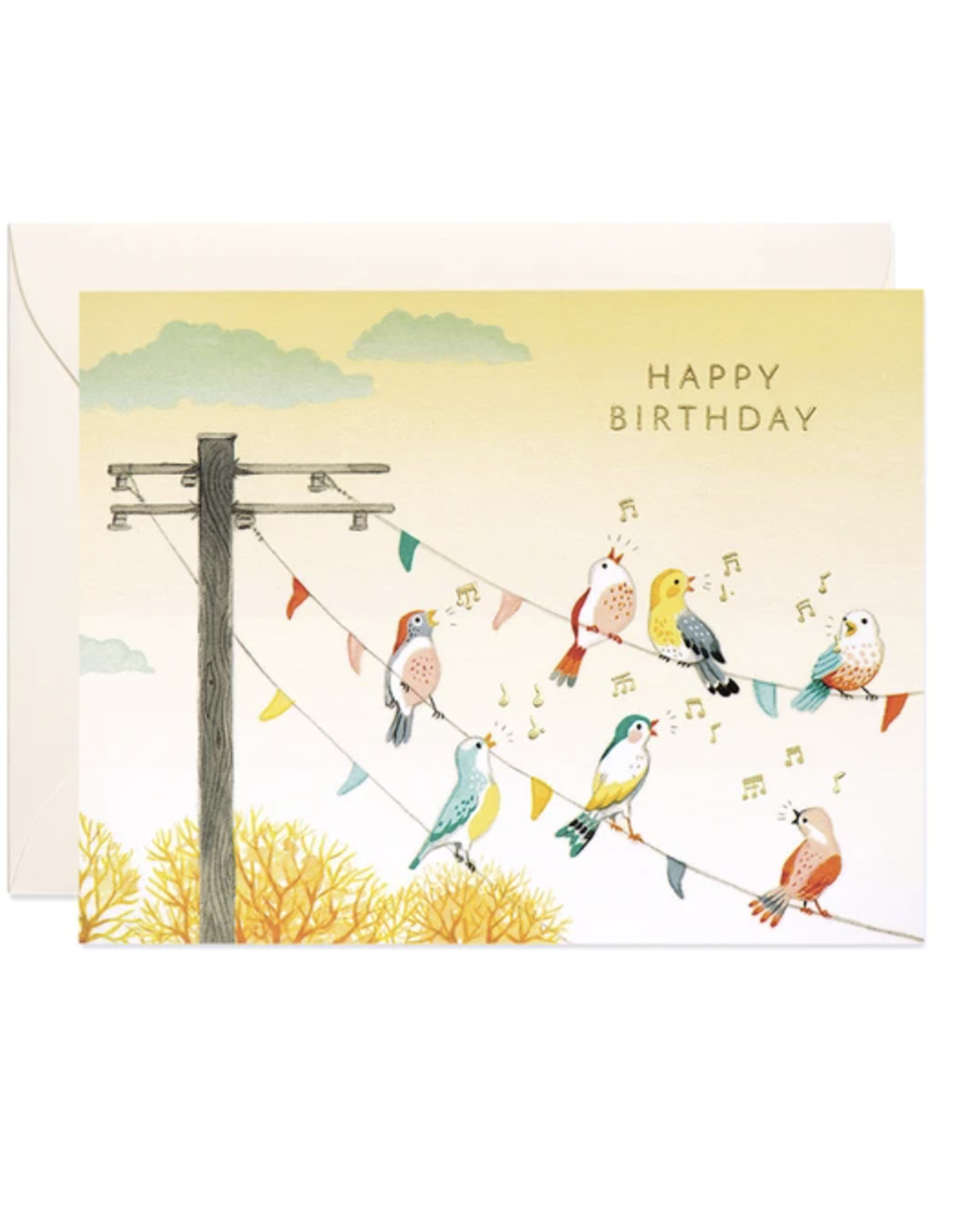 Birthday - Birds on Wire Birthday