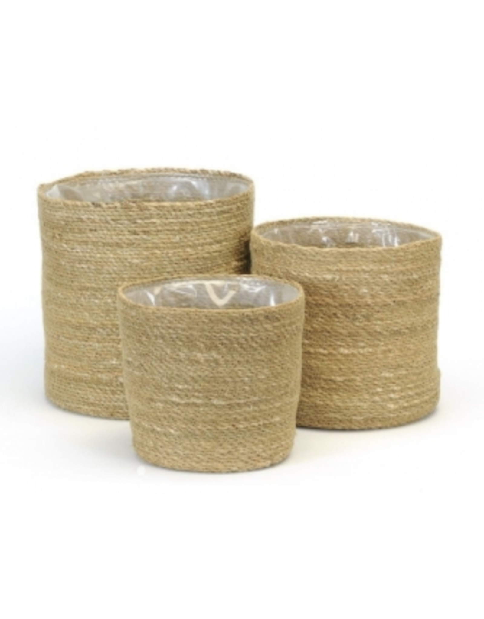 Seagrass Plant Basket