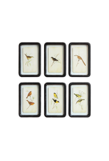 Framed Floating Bird Wall Art