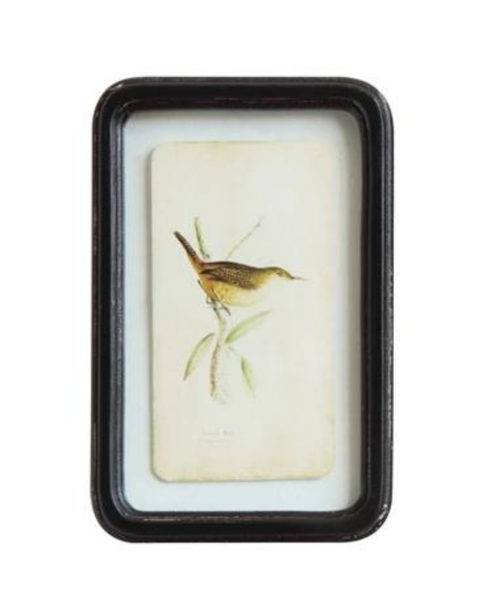 Framed Floating Bird Wall Art