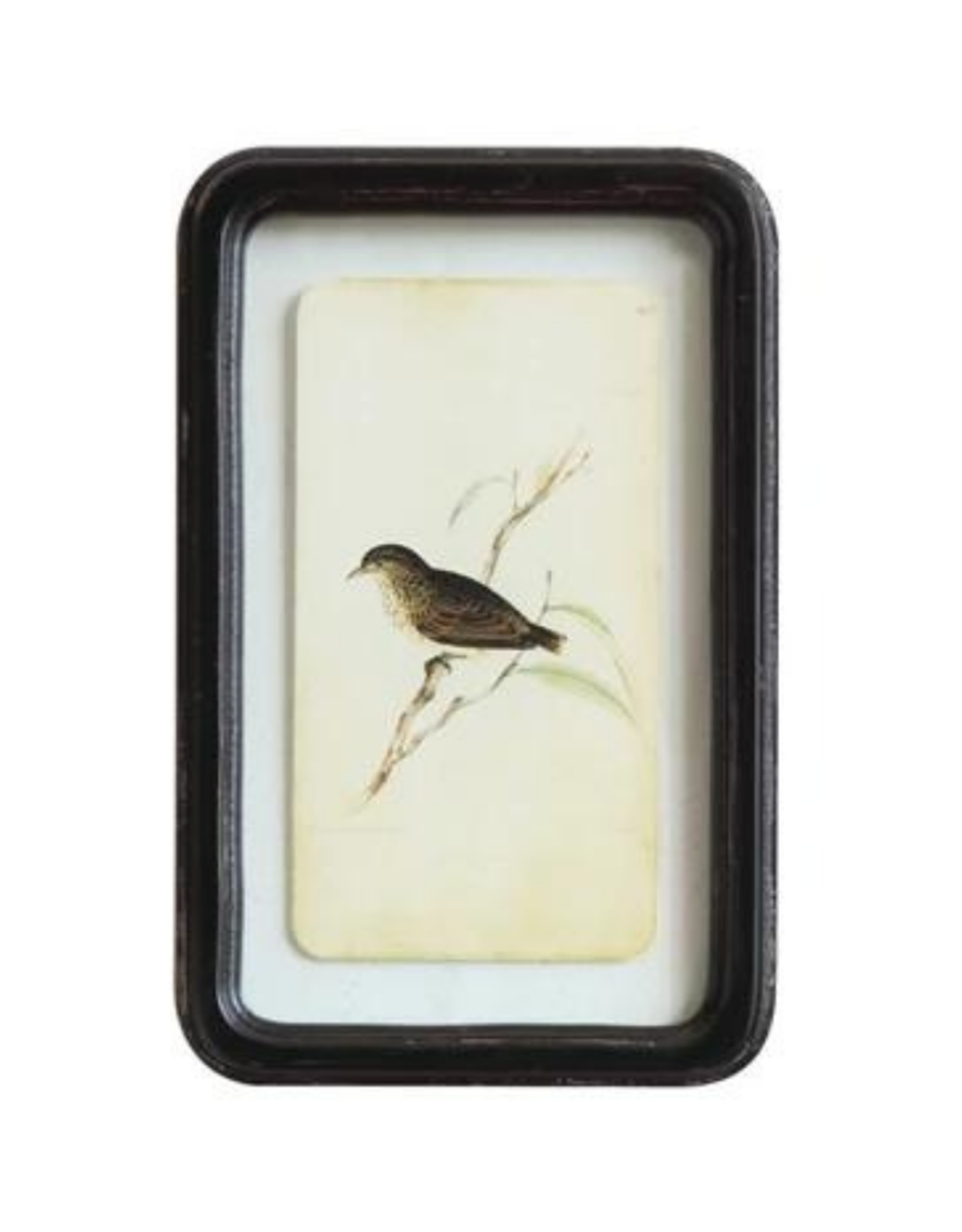 Framed Floating Bird Wall Art