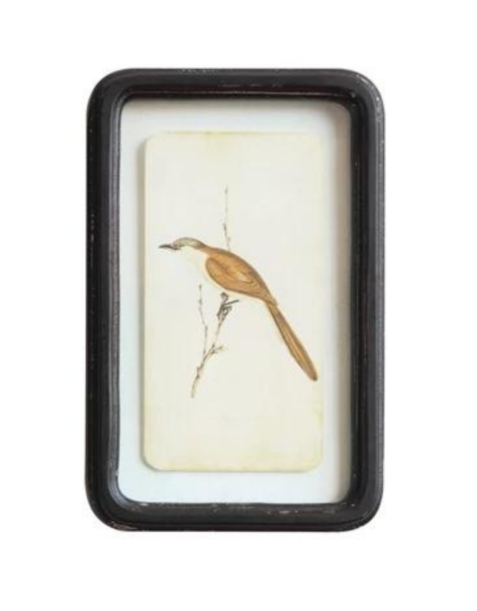 Framed Floating Bird Wall Art