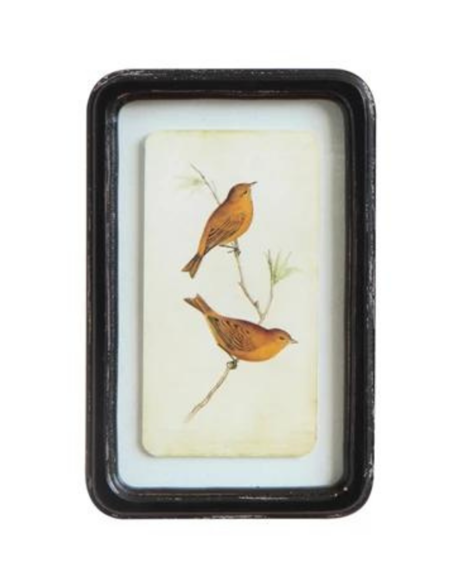 Framed Floating Bird Wall Art