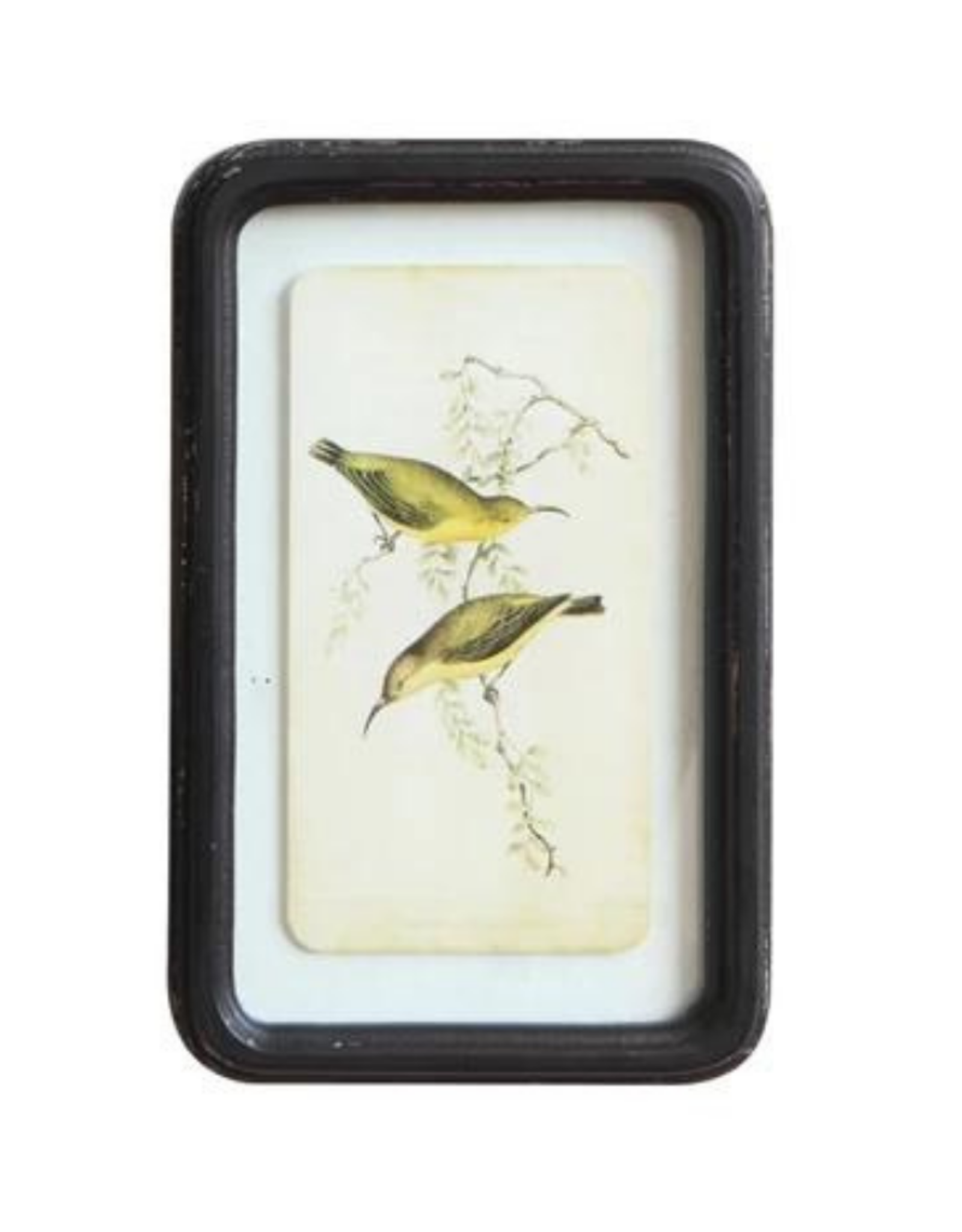 Framed Floating Bird Wall Art