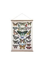 Butterfly Wall Canvas