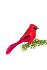 Red Cardinal Clip Ornament