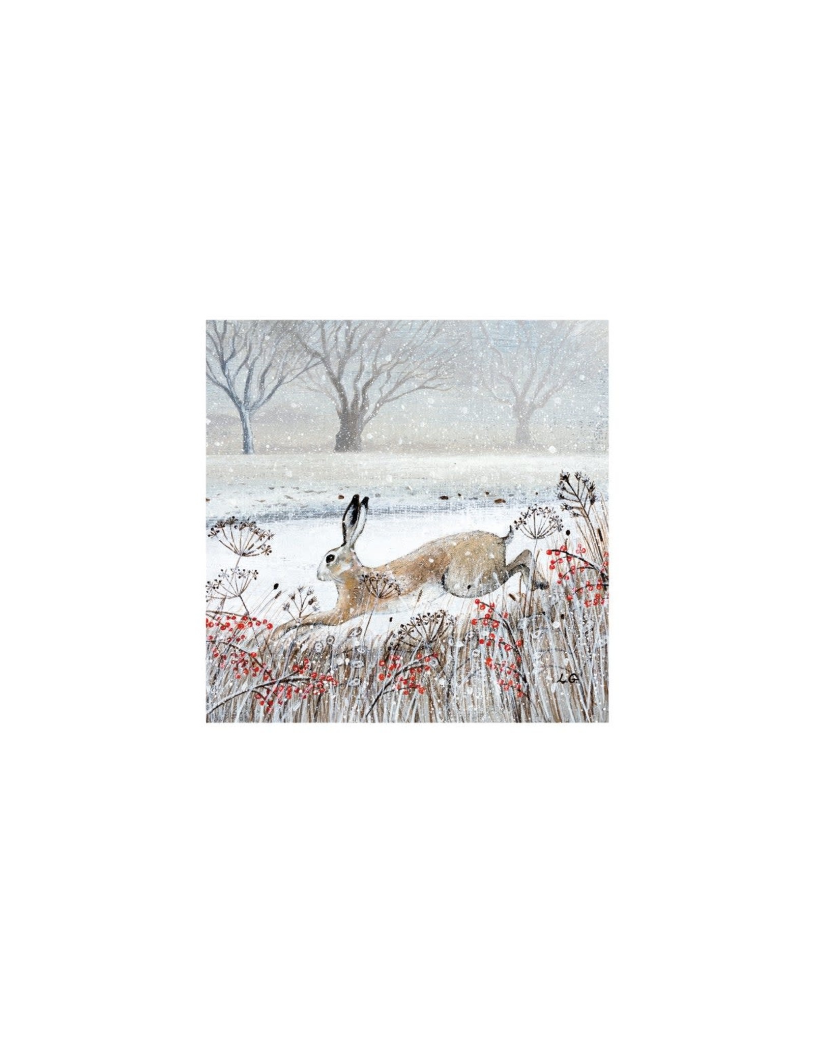 Boxed Cards - Leaping Hare