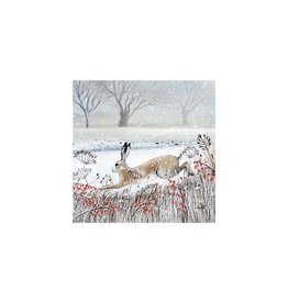 Boxed Cards - Leaping Hare