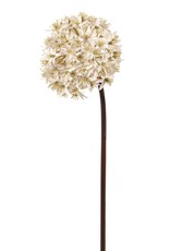 Ivory Allium Flower Spray