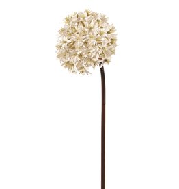 Ivory Allium Flower Spray