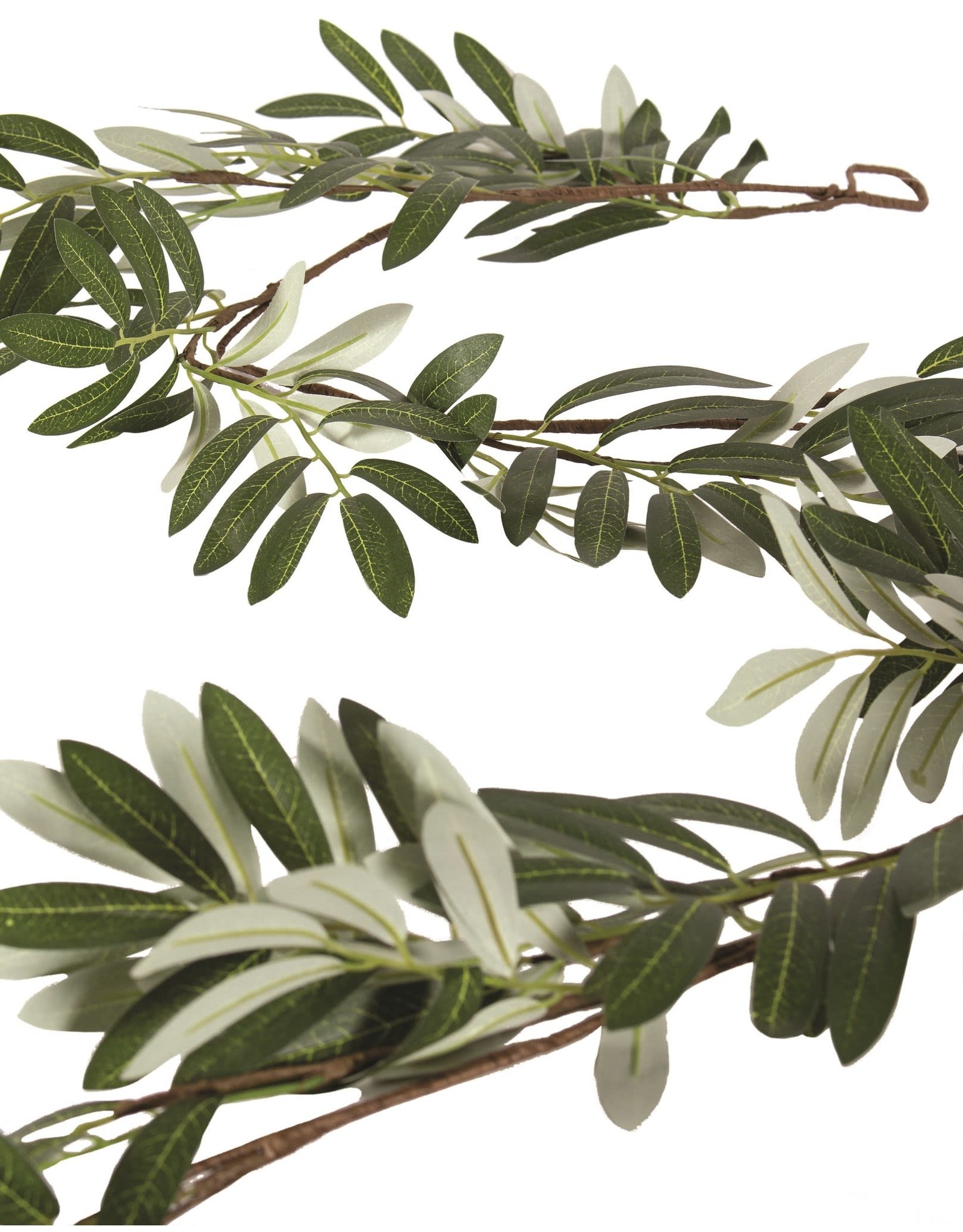 Olive Leaf Garland - 5'