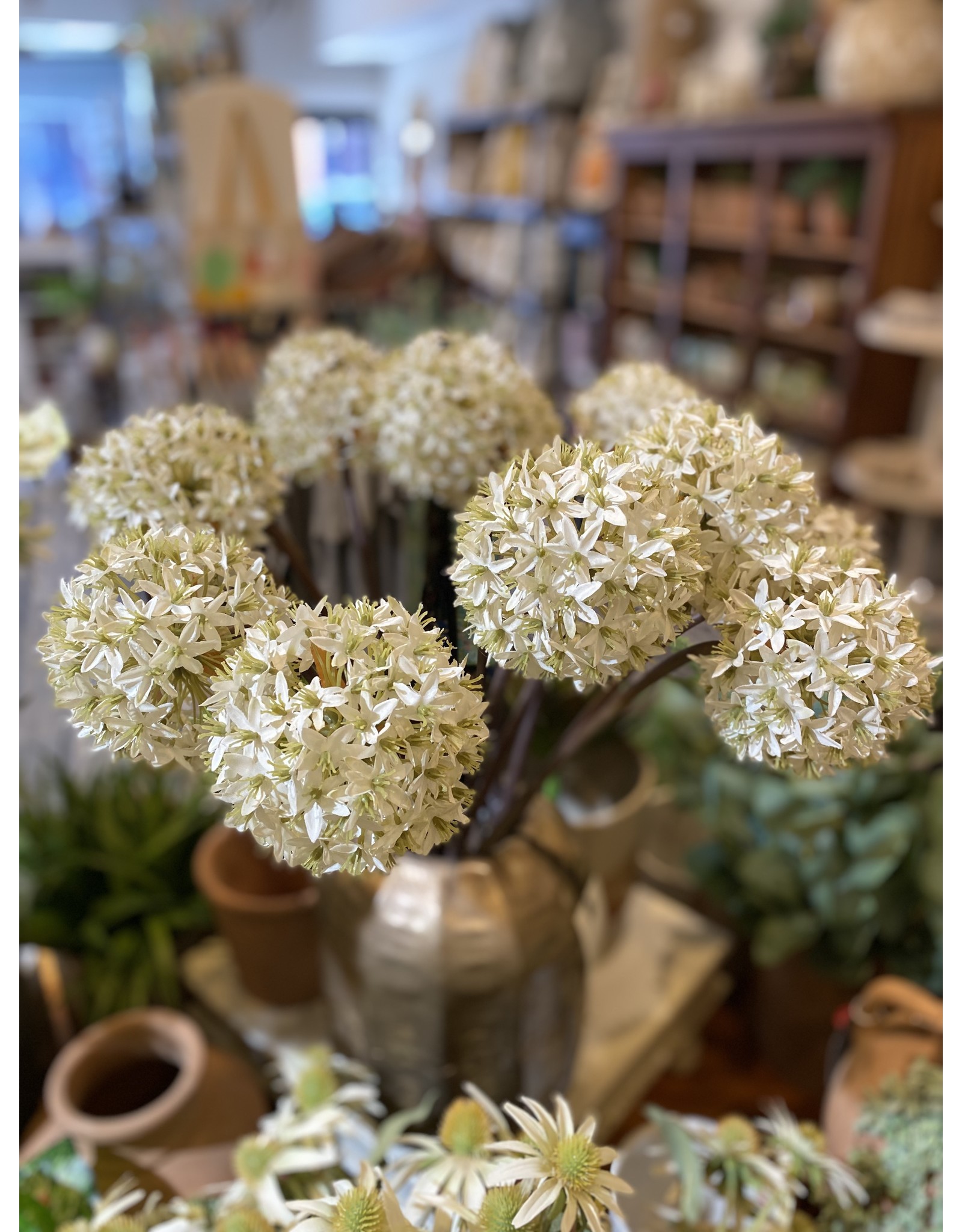 Ivory Allium Flower Spray