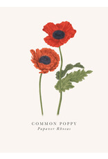 Incognito Distribution Just Because - Common Poppy