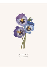 Just Because - Violet