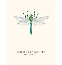 Just Because - Emperor Dragonfly
