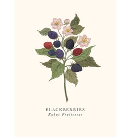 Just Because - Blackberries