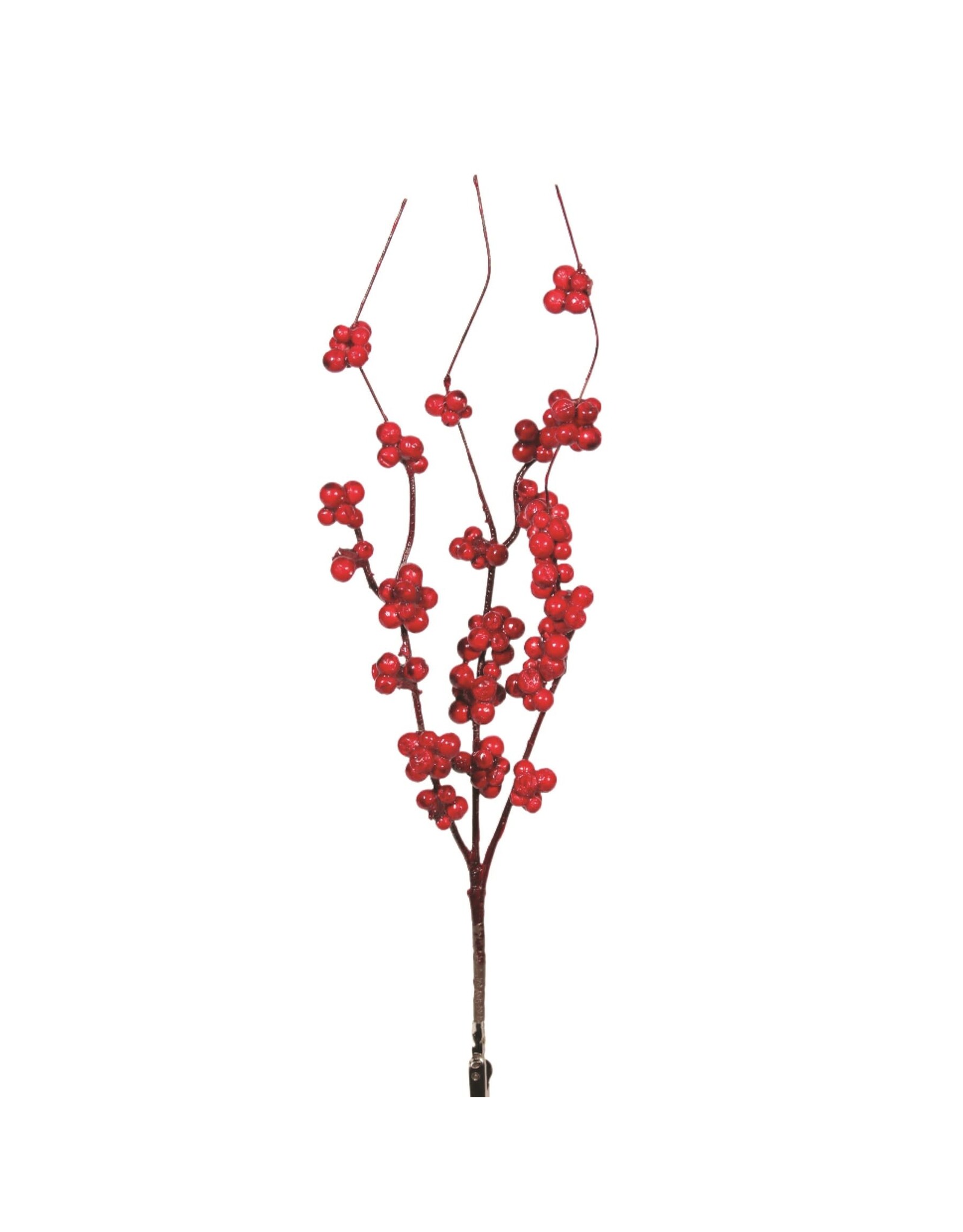Mini Cranberry Sprig
