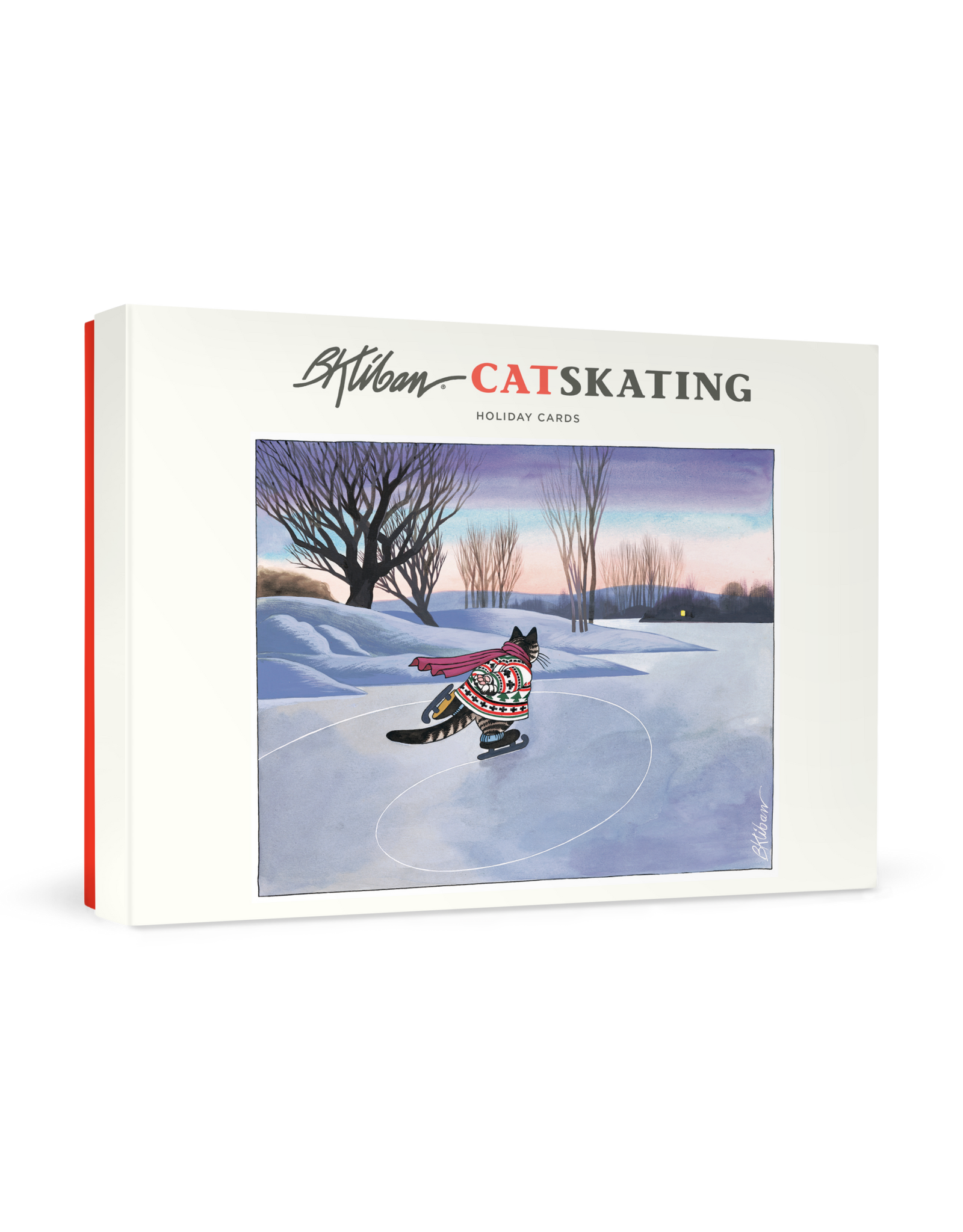 Boxed Cards - Cat Skating - 12 Cards