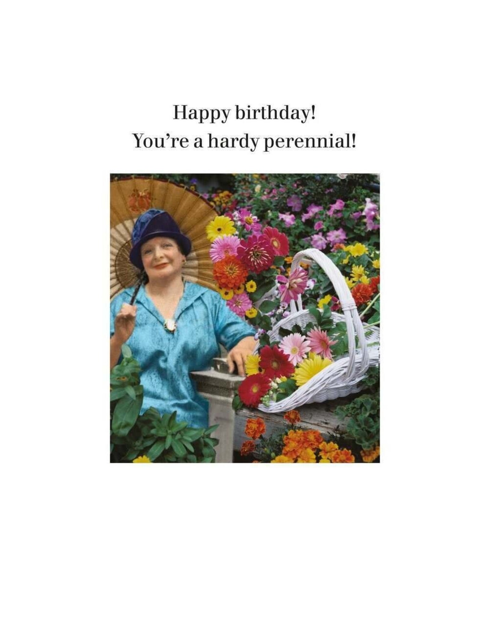 Birthday - You're a Hardy Perennial