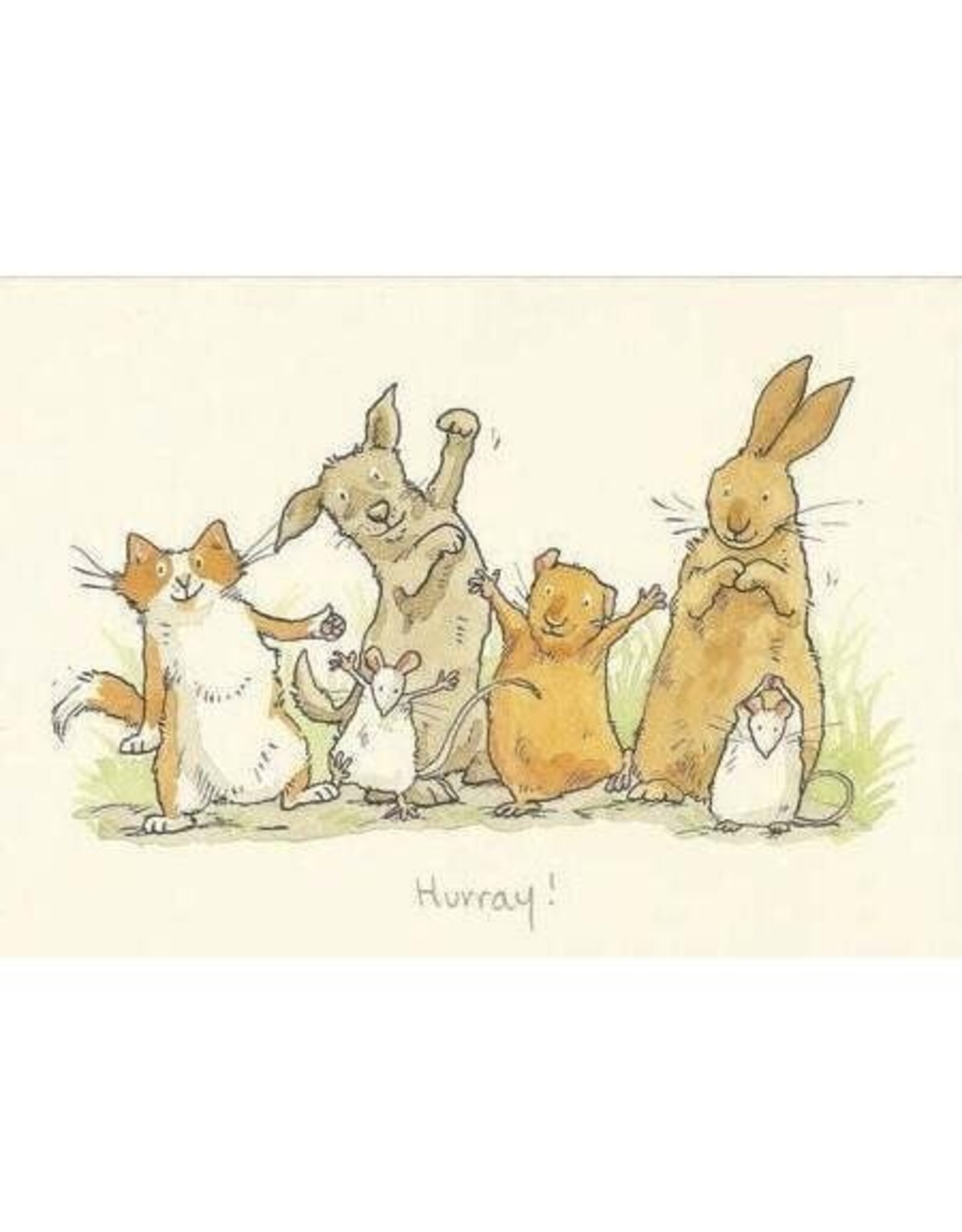 Congratulations - Hurray