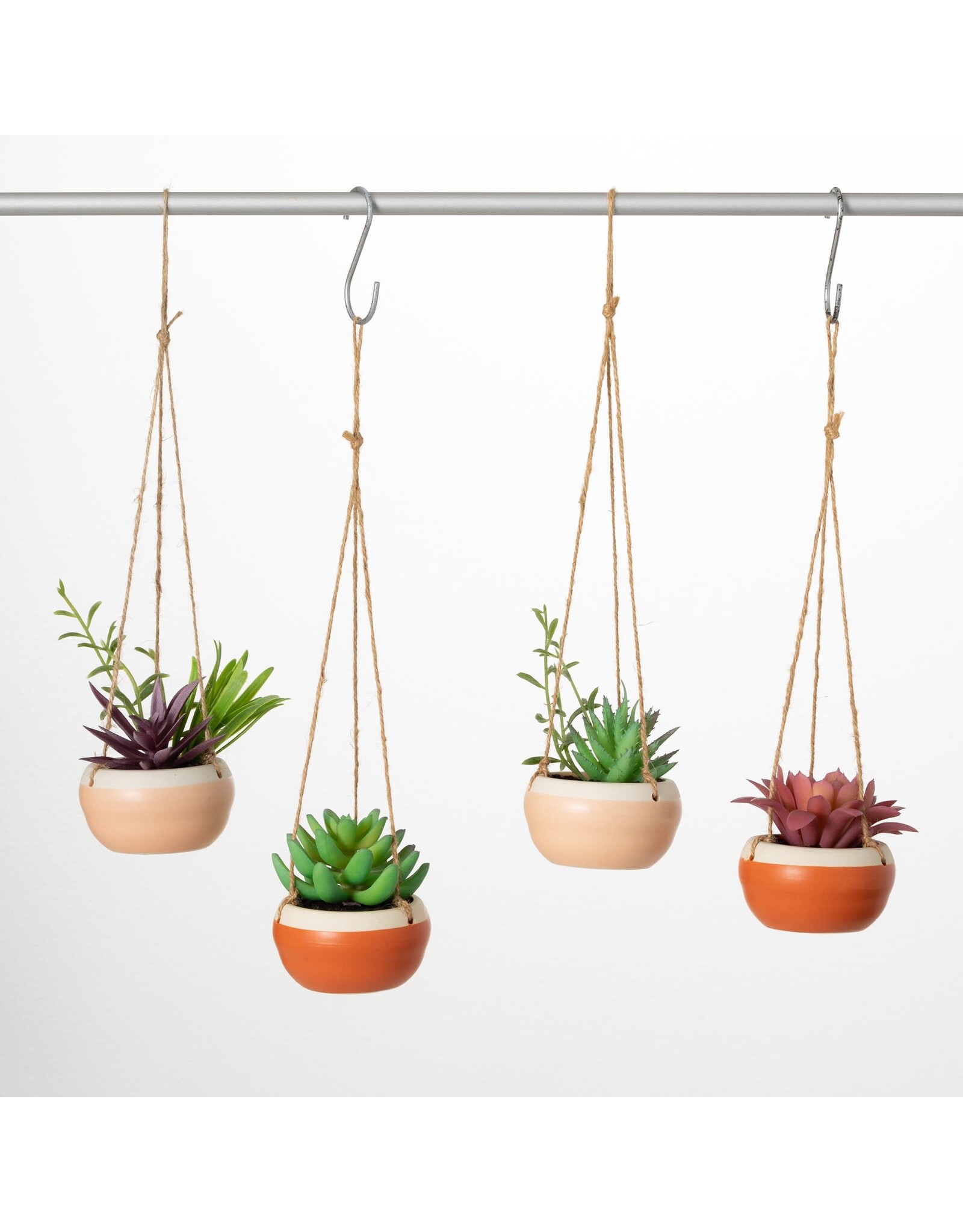 Hanging Potted Succulent